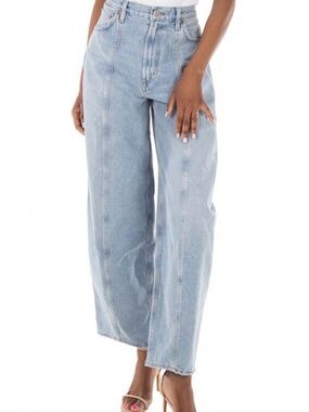 AGOLDE Kristen Barrel Jeans Sz 25 NWT Wide Leg In Exposure Style A9221-1601